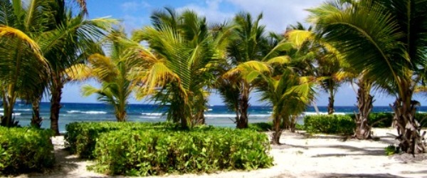The Palms At Pelican Cove 